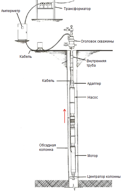 Кемеровская рыбалка